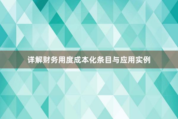 详解财务用度成本化条目与应用实例