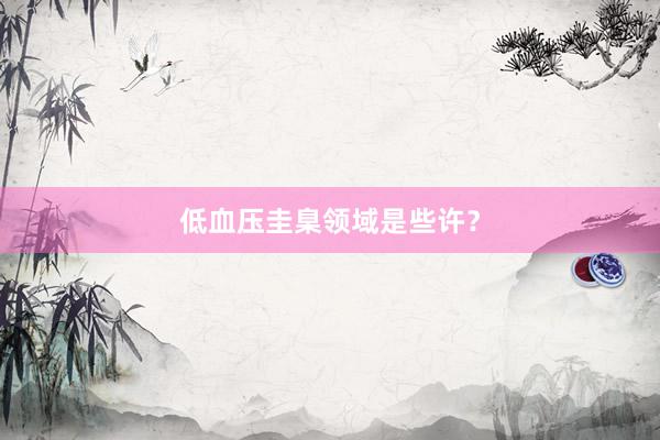 低血压圭臬领域是些许？