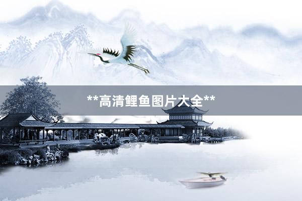 **高清鲤鱼图片大全**