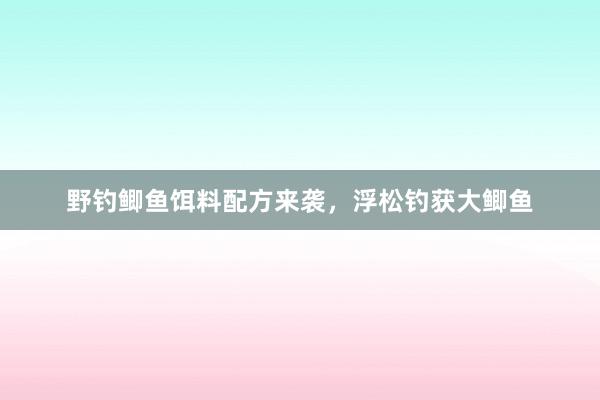 野钓鲫鱼饵料配方来袭,浮松钓获大鲫鱼